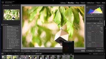 Camera to Print Colour Calibration - How to get what you see with Spyder5STUDIO