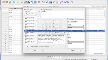 Combine Two Numeric Variables Using the Sum Function in SPSS