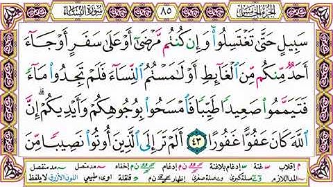 القرآن الكريم مقسم إلى أجزاء | الجزء 5 مكتوب | مقسم صفحات | الشيخ حاتم فريد | مصحف التجوي