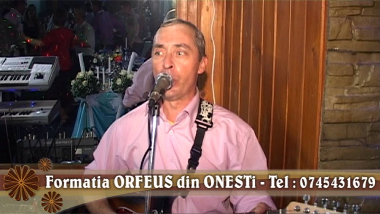 doamna singura din chitila cauti femei din ștei care vor sex