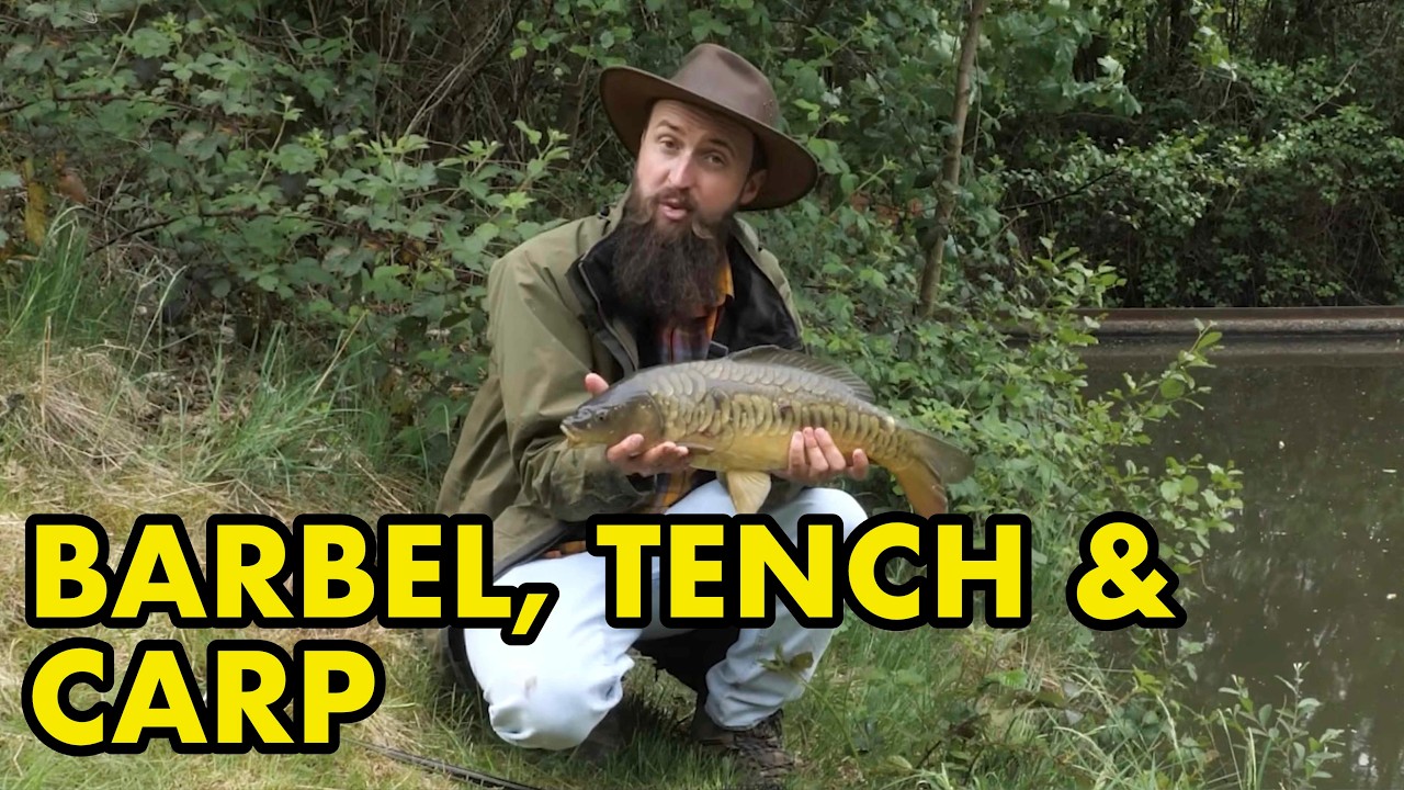 Barbel, Carp & Tench Fishing | An Action-Packed UK Fishing Session