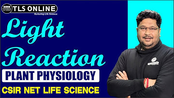Plant Physiology I Light Reaction I CSIR NET Life Science | Ashish Kr Dwivedi |