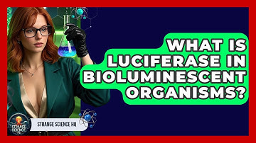 What Is Luciferase In Bioluminescent Organisms? - Strange Science HQ