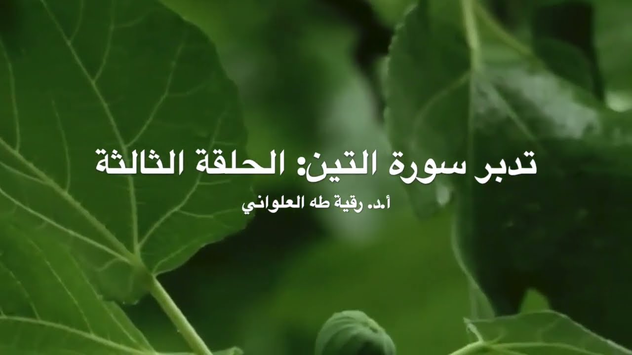 تدبّر سورة التين: الحلقة الثالثة {آية ٤}