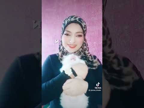 بقالها كام يوم معايا بس اتعلقت بيها واتعلقت بيا هنشوف بقي انا والقطه هنجيب كام لايك واشتراك