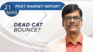DEAD CAT Bounce? Post Market Report 21-Mar-24