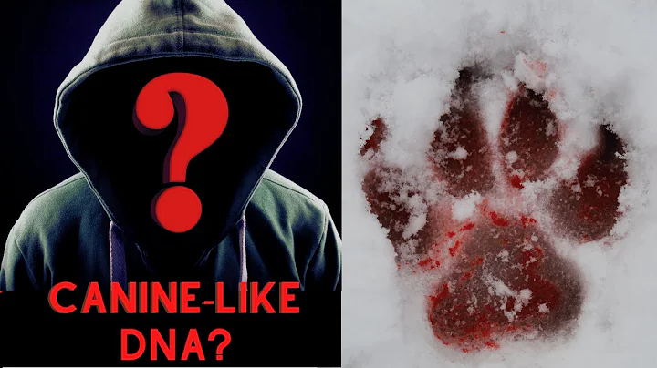 UKNOWN ANIMAL ATTACK CANINE LIKE DNA | UNSOLVED BR...