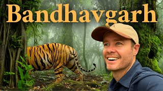 Did I Just See The Biggest Tiger In India?!