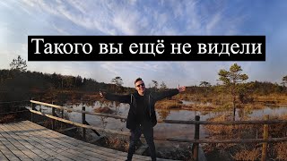 НЕВЕРОЯТНАЯ ПРИРОДА ЛАТВИИ - КЕМЕРИ