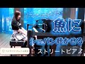 水槽の魚にショパン聴かせてきた【福岡県 ベイサイドプレイス博多ストリートピアノ】