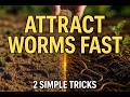 THESE TWO THINGS WILL ATTRACT EARTHWORMS LIKE CRAZY