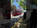 ASESINAN A LÍDER DE MOVIMIENTO CIUDADANO
