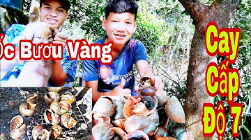 Ra Ngoài Ao Bắt Ốc Bươu Vàng Siêu To Nướng Cay Cấp Độ 7