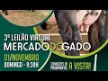 🐄3º Leilão Virtual Mercado do Gado - 📺multpix.com.br