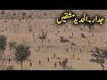 Pak army exercise jidar ul hadeed in thar desert