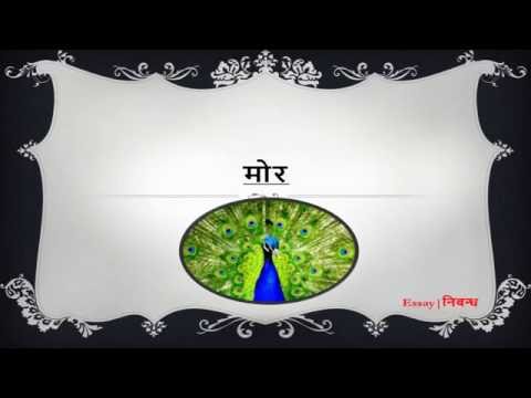 Essay on peacock in sanskrit