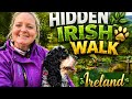 We Found a Hidden Forest Walk in Ireland 🌲 (Perfect With a Dog 🐶)