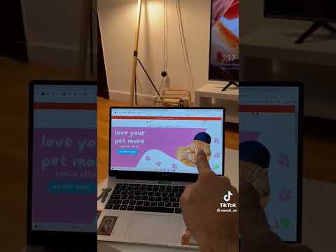 متجر منتجات القطط السعودية الرياض حصري متجر