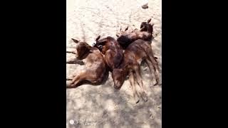 WALAGA LUKWAJA UJUMBE WASHABIKI ILEMBA MBASHA STUDIO 7/2/2023