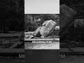 Was The Maus The Worst Tank Germany Ever Built Shorts History Was The Maus The Worst Tank Germany Ever Built Shorts History