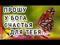 Прошу у Бога счастья для тебя...Красивые стихи о жизни для друзей