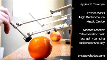 Apples & Oranges - Entact W5D High Performance Haptic Device in Master/Master Teleoperation