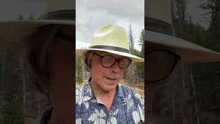 The Story Behind the Song: The Kooky Little Coconut