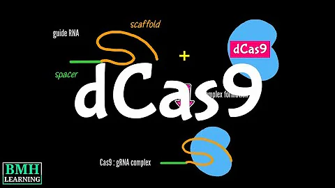 dCas9 | Gene Regulation With dCas9 | dCas9 As Epigenetic Modifier | CRISPRi | CRISPRa | - DayDayNews