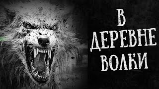 картинка: В ДЕРЕВНЕ ВОЛКИ | Страшные истории на ночь | Страшные истории