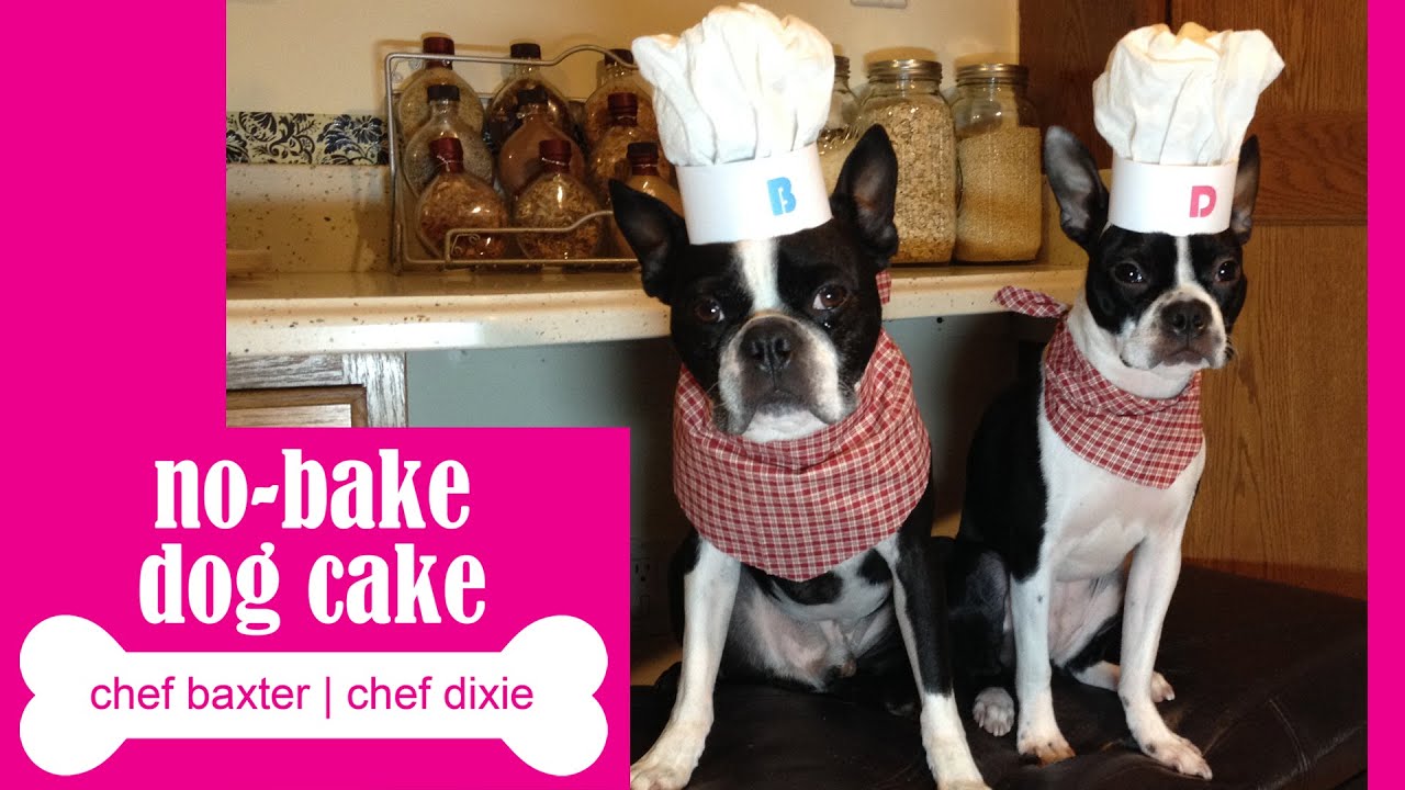 Dog Birthday Cake Boston Terrier Chef YouTube