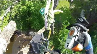 Arborist Speed line Tree Removal (Stihl ms 200 t)
