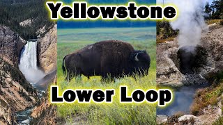 Driving the Lower Loop in Yellowstone National Park