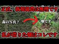 新規就農は運が95%です。正直、無理です。