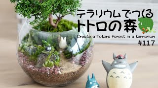 Totoro forest in open type terrarium #117