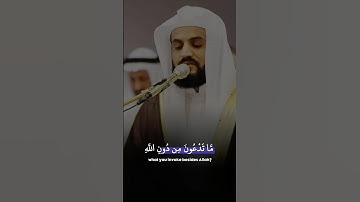 #رعد_الكردي ؛ #سورة_الزمر