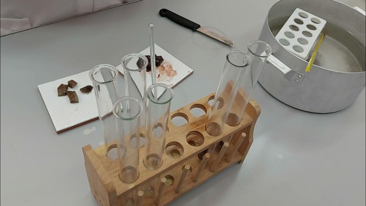 Қыздармен жыныстық қатынасқа қараңыз