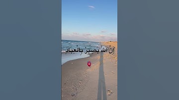 وَأُفَوِّضُ أَمْرِي إِلَى اللَّهِ ۚ إِنَّ اللَّهَ بَصِيرٌ بِالْعِبَادِ (سورة غافر)(44)