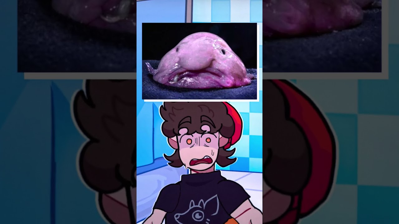 O PEIXE MAIS FEIO DO MUNDO SÓ É FEIO POR SUA CAUSA!!!