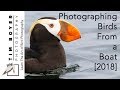 How to Photograph Birds From a Boat