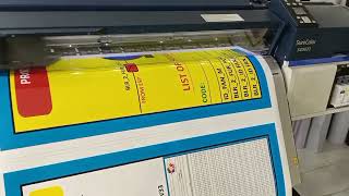 Epson SureColor SC-S40670 Vinyl printing
