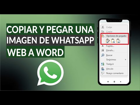 Cómo Copiar y Pegar una Imagen de WhatsApp Web a Word de Diferentes Formas