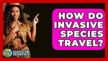 How Do Invasive Species Travel? - Ecosystem Essentials