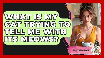 What Is My Cat Trying To Tell Me With Its Meows? - Happy Cat Handbook