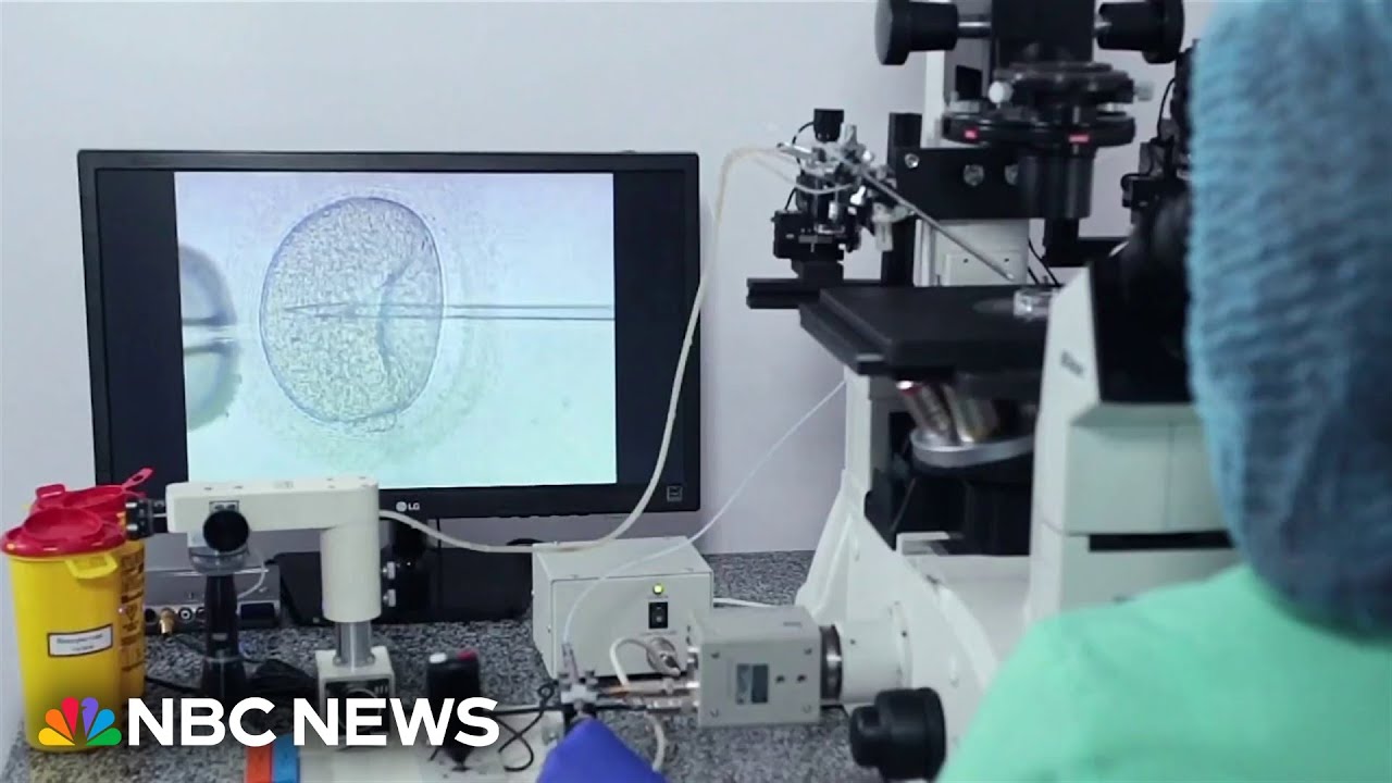 Women seeking jobs with fertility benefits YouTube