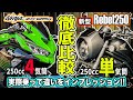 【250cc頂上決戦】 徹底比較！レブル250とZX-25Rどっちが良いの？実際乗って確かめてみた！4気筒vs単気筒！大人気250ccバイク対決！アメリカンとスーパースポーツ乗り比べ！【モトブログ】