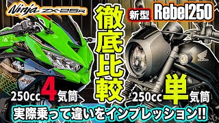 【250cc頂上決戦】 徹底比較！レブル250とZX-25Rどっちが良いの？実際乗って確かめてみた！4気筒vs単気筒！大人気250ccバイク対決！アメリカンとスーパースポーツ乗り比べ！【モトブログ】