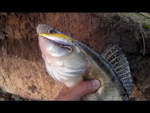 Ловля судака на воблеры. Береговой джиг.
