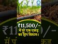 ₹11,500 में पूरे एक एकड़ का ड्रिप सिस्टम। #farming #education #science #kheti #khetibadi #shorts