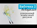 Бабочка акварелью очень просто! Пошаговый урок, обучающее видео, красивые рисунки акварелью