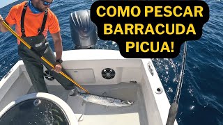 COMO PESCAR BARRACUDAS EN EL INVIERNO (PICUA )